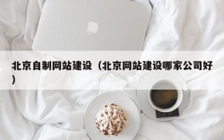 阿拉善盟北京自制网站建设（北京网站建设哪家公司好）